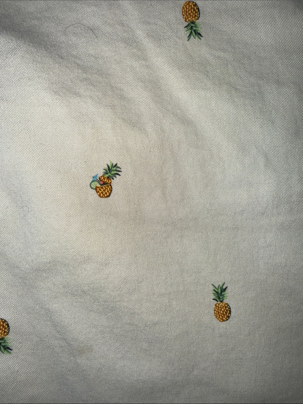 Pineapple Chino Shorts - Cream Old Navy - Picture 3 of 5